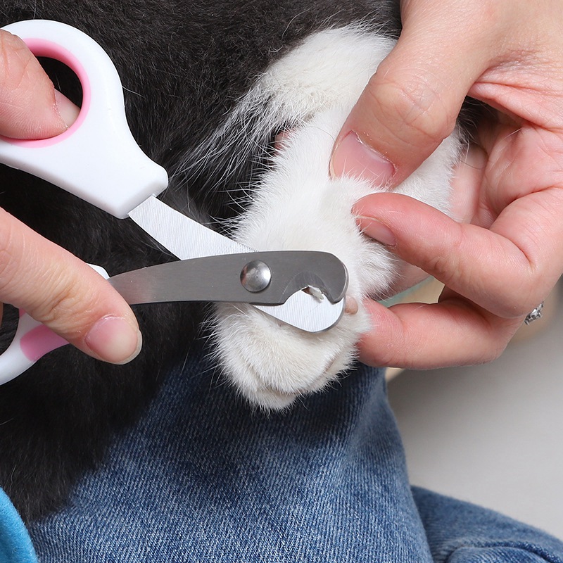 Nagelschaar voor huisdieren, n - Grooming Scissors recensie en prijs